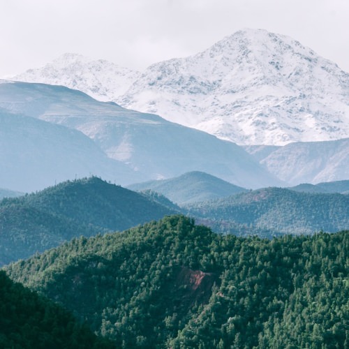 Nos offres temporaires