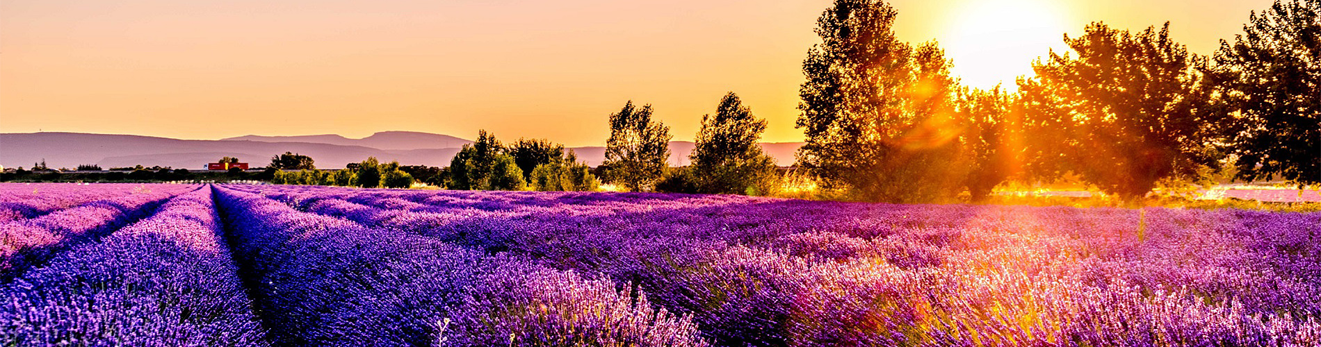 Cartes cadeaux voyages mystère