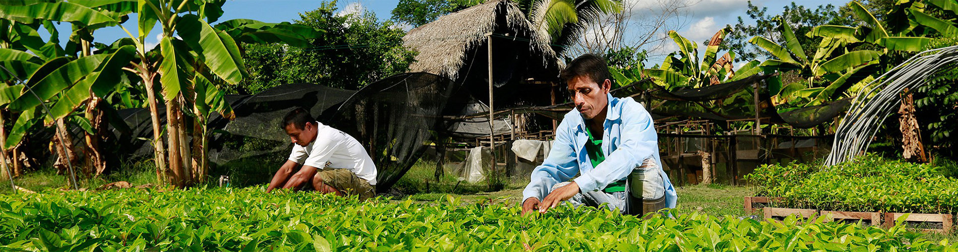 Notre projet environnemental